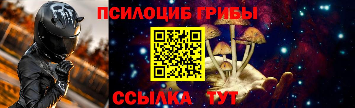 Псилоцибиновые грибы Psilocybe Вольск