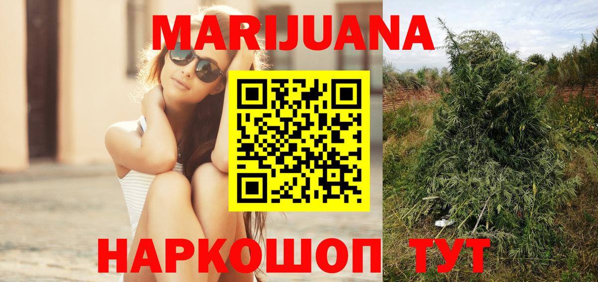 Бошки марихуана индика  Бошки Шишки тримм  Вольск  Конопля конопля  Вход с VPN 